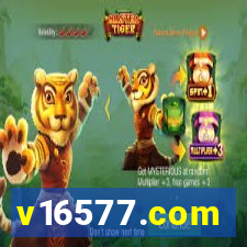 v16577.com