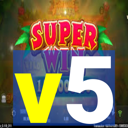 v5-lewa.com