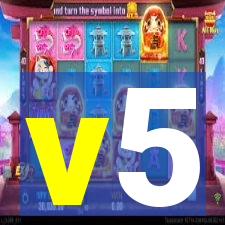 v5-lewa.com