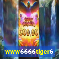 www6666tiger6